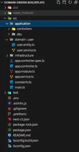 folder-structure-for-domain-driven-design-in-nest-js